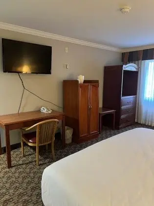 Standard Oda, 1 En Büyük (King) Boy Yatak, Engellilere Uygun, Sigara İçilmez