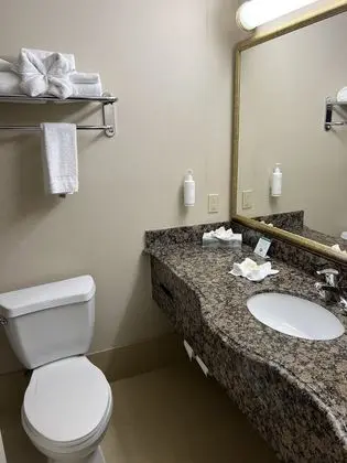 Standard Oda, 1 En Büyük (King) Boy Yatak, Sigara İçilmez