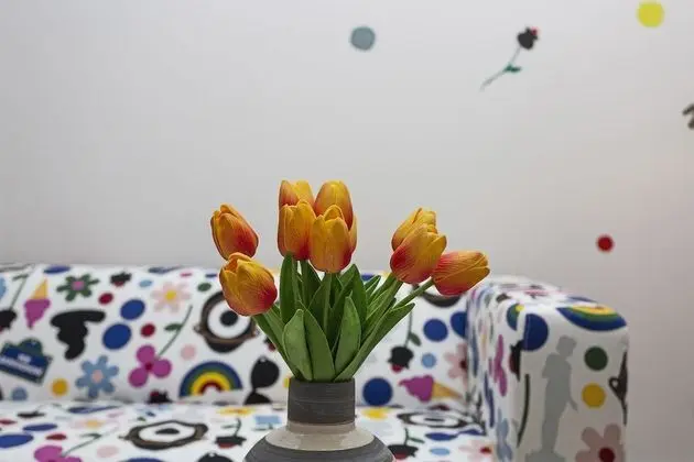 Apart Daire, 2 Yatak Odası (Salvia)