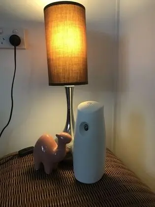 Design Oda, 1 Yatak Odası, Sigara İçilmez, Ortak Banyo