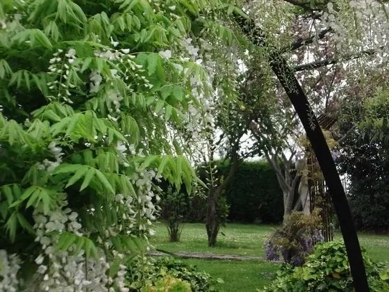 Romantic Stüdyo Süit, Bahçe Manzaralı