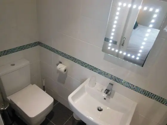 Standard Tek Büyük veya İki Ayrı Yataklı Oda, Banyolu/Duşlu
