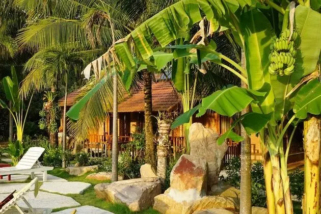 Superior Bungalov (Double)