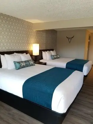 Standard Oda, 2 Büyük (Queen) Boy Yatak (Double Queen Room)