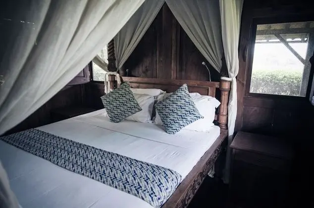 Deluxe Bungalov