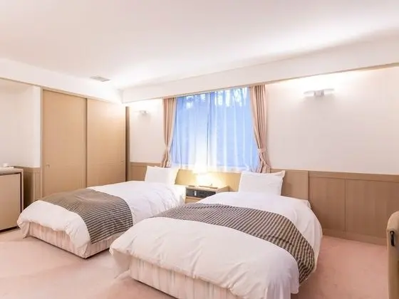 Deluxe İki Ayrı Yataklı Oda, Sigara İçilmez