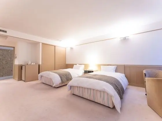 Deluxe İki Ayrı Yataklı Oda, Sigara İçilmez