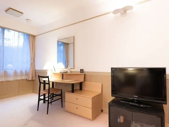 Deluxe İki Ayrı Yataklı Oda, Sigara İçilmez