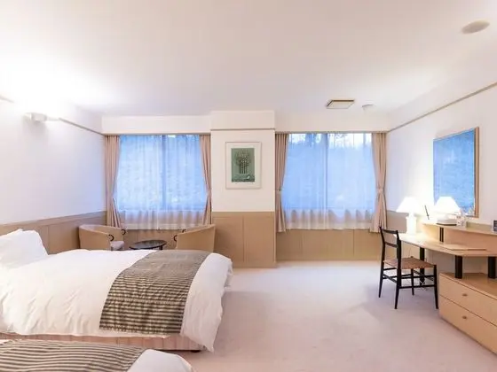 Deluxe İki Ayrı Yataklı Oda, Sigara İçilmez