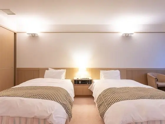 Deluxe İki Ayrı Yataklı Oda, Sigara İçilmez