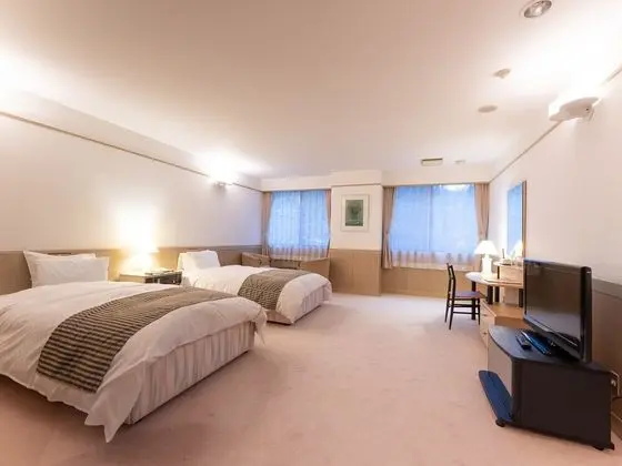 Deluxe İki Ayrı Yataklı Oda, Sigara İçilmez