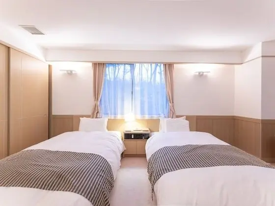 Deluxe İki Ayrı Yataklı Oda, Sigara İçilmez