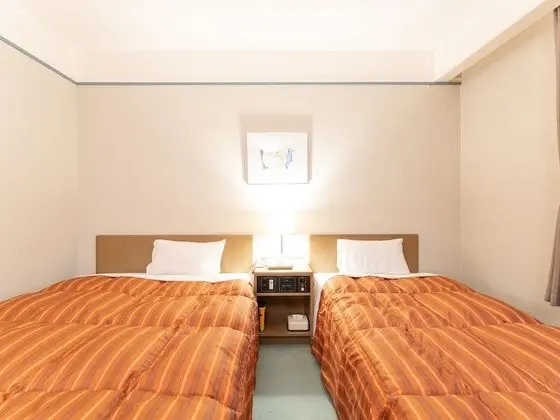 Standard İki Ayrı Yataklı Oda, Sigara İçilmez