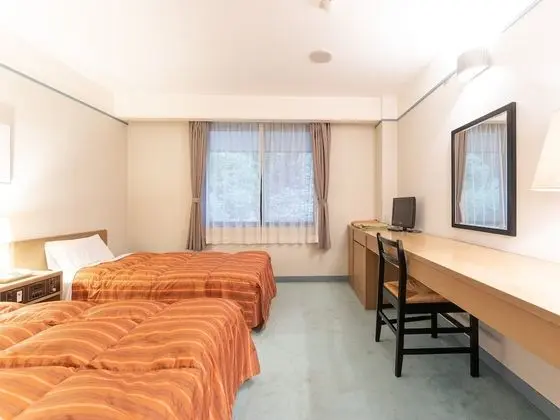 Standard İki Ayrı Yataklı Oda, Sigara İçilmez