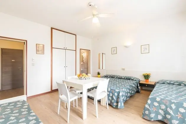 Basic Apart Daire, 1 Yatak Odası (4 Pax)