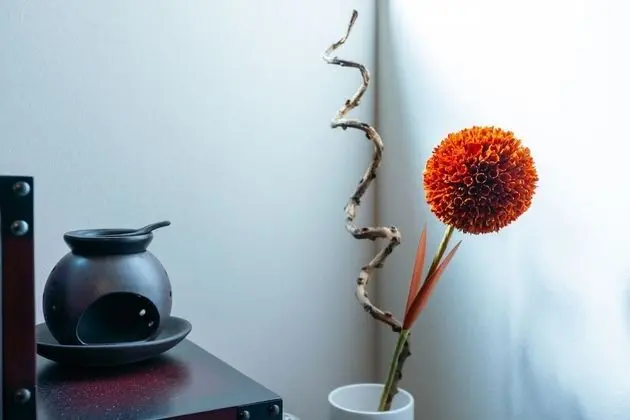 Ev