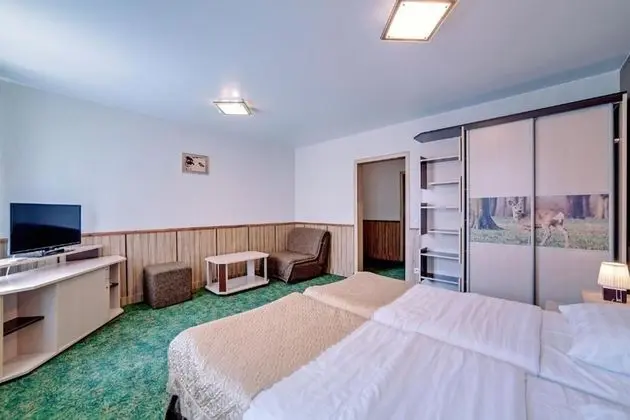 Standard Tek Büyük veya İki Ayrı Yataklı Oda, Balkon