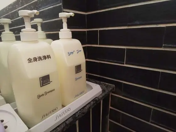 Traditional Ev (Hot spring, Japanese Style, Pets OK)