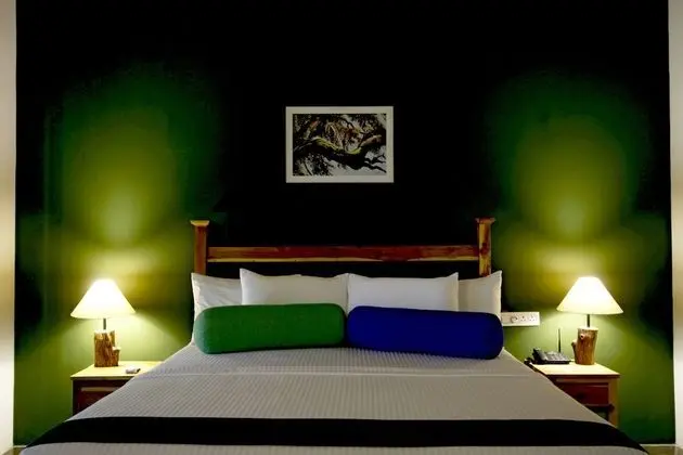 Deluxe Tek Büyük Yataklı Oda, 1 Yatak Odası
