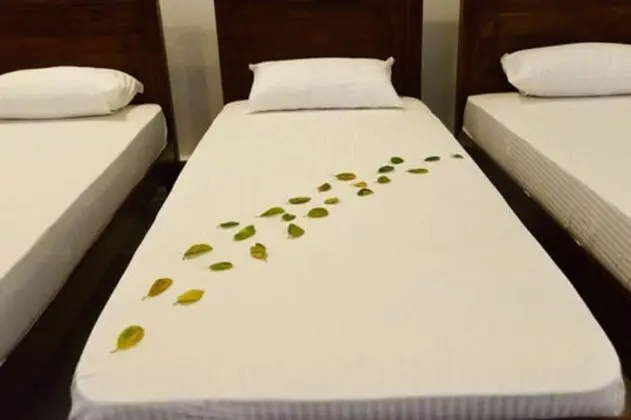 Superior Tek Büyük Yataklı Oda, 2 Büyük (Queen) Boy Yatak, Özel Banyo, Bahçe Manzaralı