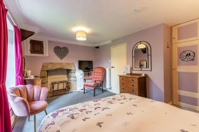 Tek Büyük Yataklı Oda, Banyolu/Duşlu (King)