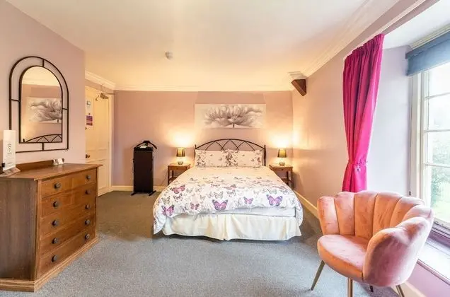 Tek Büyük Yataklı Oda, Banyolu/Duşlu (King)