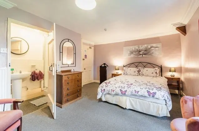 Tek Büyük Yataklı Oda, Banyolu/Duşlu (King)