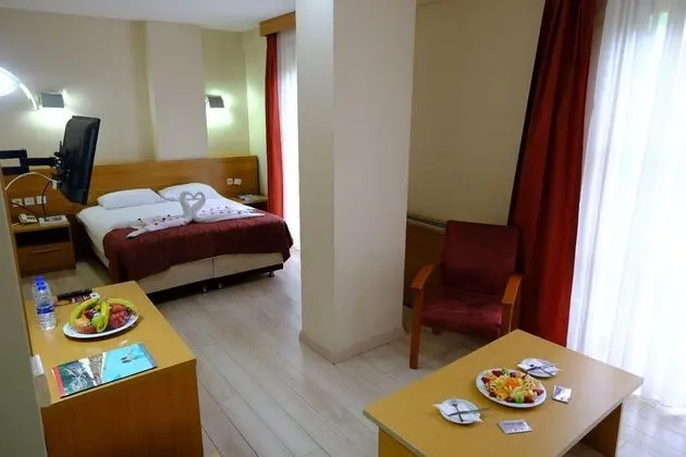 Standart Oda,Doğa Manzaralı,Balkonlu