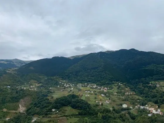Apart Oda
