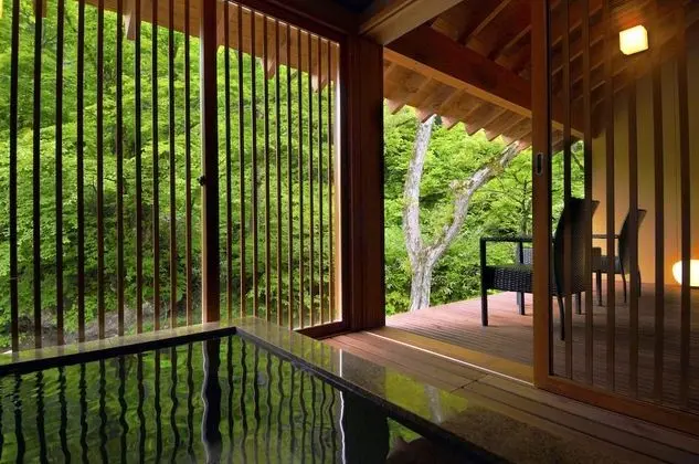 Premium Süit, Özel Banyo, Ek Bina (with Private Open-air Bath, KATSURA)