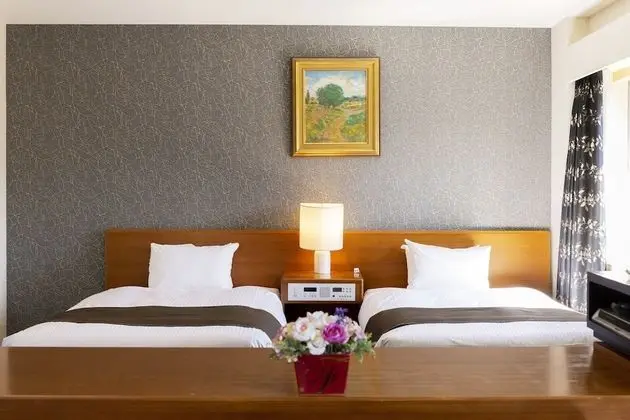 Deluxe İki Ayrı Yataklı Oda