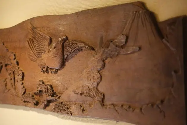 Ev, Sigara İçilmez