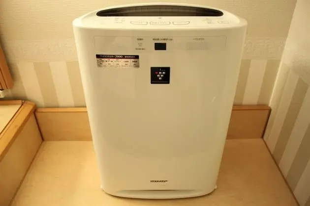 Deluxe İki Ayrı Yataklı Oda, Sigara İçilebilir