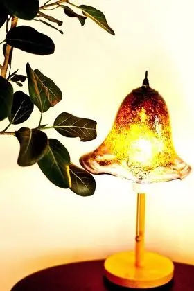 Ev, Sigara İçilmez