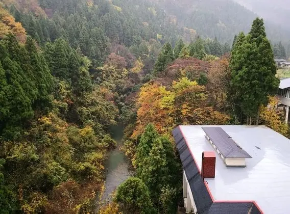 Traditional Oda (Japanese Style)