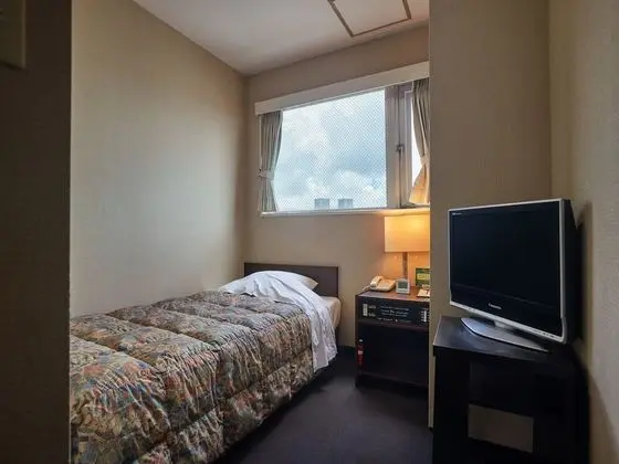 Standard Tek Kişilik Oda, 1 Tek Kişilik Yatak, Şehir Manzaralı