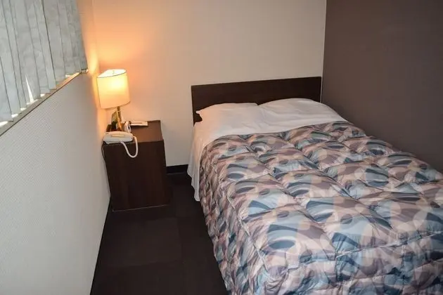 Standard Tek Kişilik Oda, 1 Tek Kişilik Yatak, Şehir Manzaralı