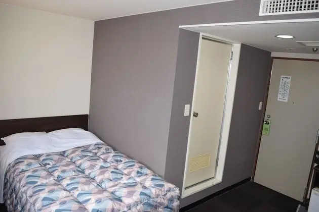 Standard Tek Kişilik Oda, 1 Tek Kişilik Yatak, Şehir Manzaralı