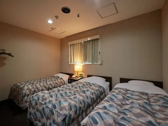 Standard Üç Kişilik Oda, 3 Tek Kişilik Yatak, Şehir Manzaralı