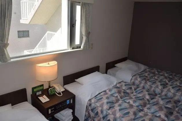 Standard Üç Kişilik Oda, 3 Tek Kişilik Yatak, Şehir Manzaralı