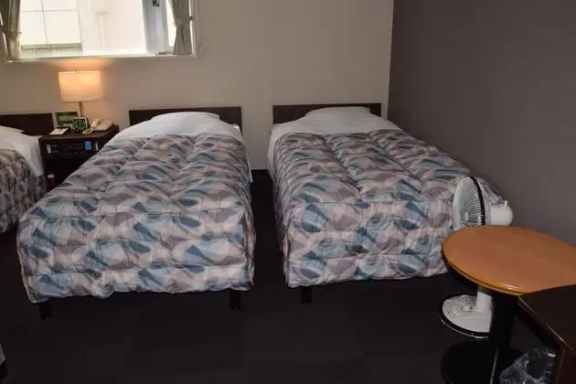 Standard Üç Kişilik Oda, 3 Tek Kişilik Yatak, Şehir Manzaralı