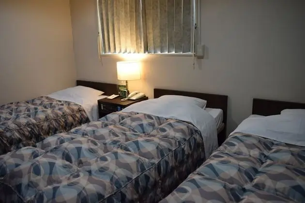 Standard Üç Kişilik Oda, 3 Tek Kişilik Yatak, Şehir Manzaralı