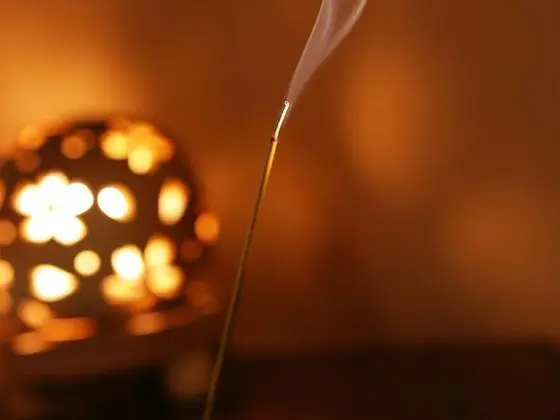 Traditional İki Ayrı Yataklı Oda, Sigara İçilmez (Japanese Style, FU-RIN)