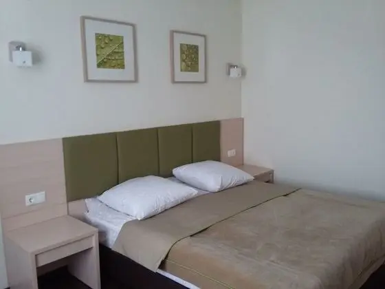 Superior Tek Büyük Yataklı Oda