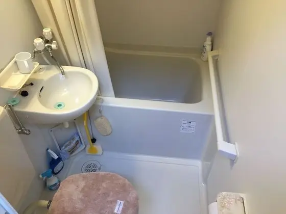 Ev