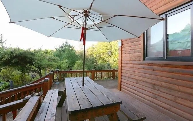 Oda (Korean Edelweiss)