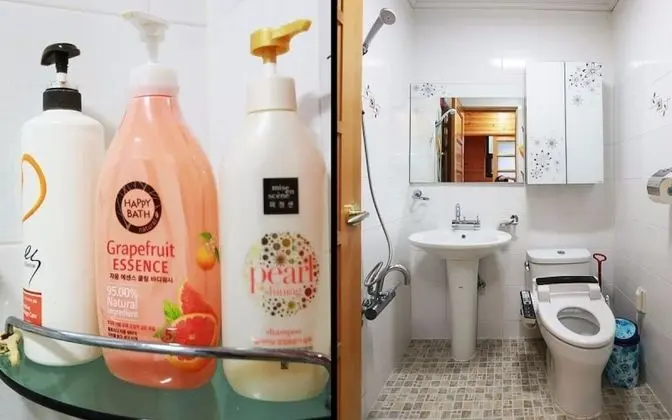 Oda (Korean Edelweiss)