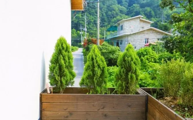 Oda (Healing Day ONE - Unshared House Type)