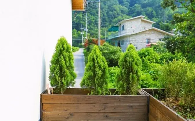 Oda (Healing Day ONE - Unshared House Type)