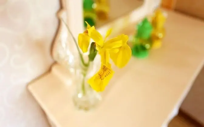 Oda (Golden-flower Lily)